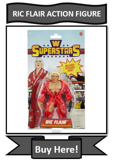WWE Superstars Ric Flair Action Figure